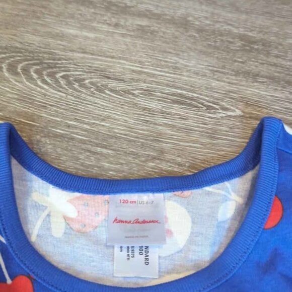 Hanna Andersson Blue and Red Fruit Print Dress size 6/7 - Picture 3 of 4